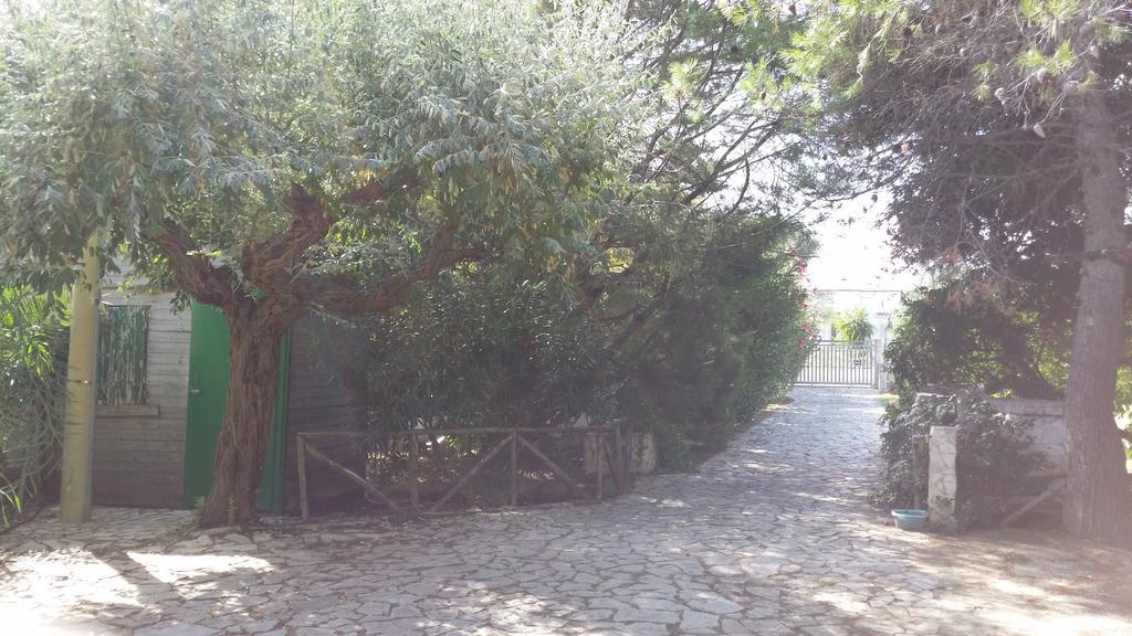 Residence Polidoro فيستَ المظهر الخارجي الصورة